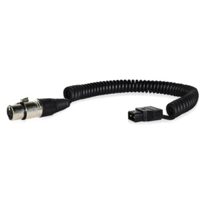 Core SWX PTC-XLR Coiled P-tap to XLR