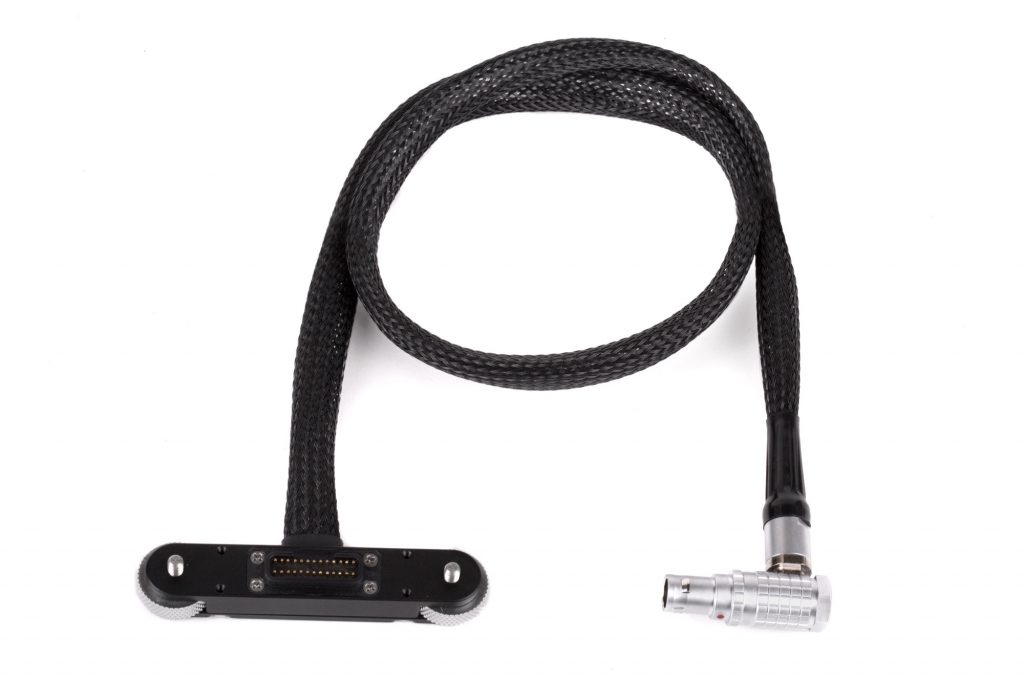 Wooden Camera - RED Male Pogo to Male LEMO Compatible LCD/EVF Cable (24", RED DSMC2) 221800